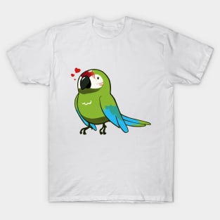 Macaw 4 T-Shirt